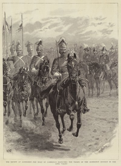 The Review at Aldershot, the Duke of Cambridge Inspecting the Troops of the Aldershot Division in the Long Valley by John Charlton